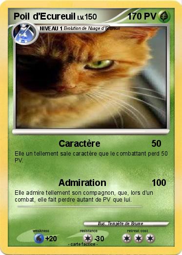 Pokemon Poil d'Ecureuil