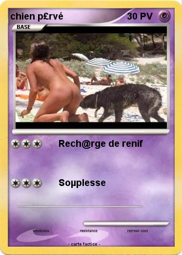 Pokemon chien p£rvé