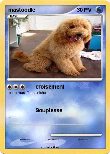 Pokemon mastoodle