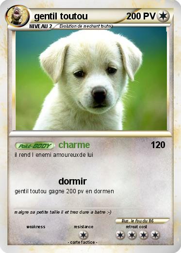 Pokemon gentil toutou
