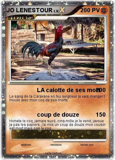 Pokemon JO LENESTOUR