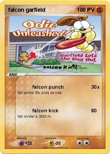 Pokemon falcon garfield