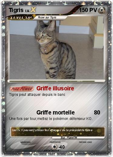 Pokemon Tigris