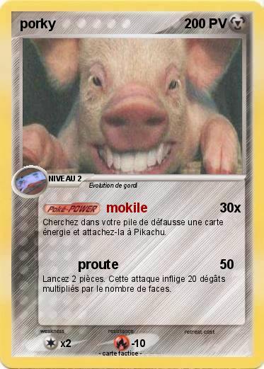 Pokemon porky