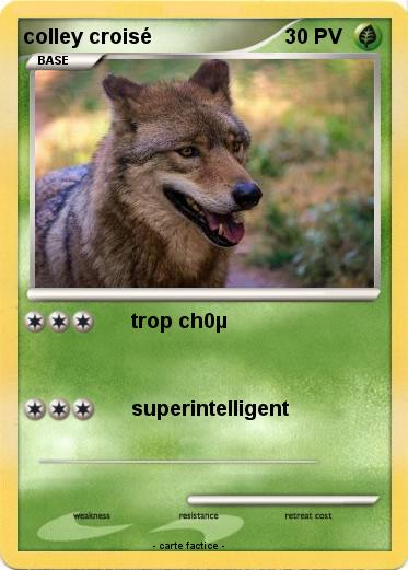 Pokemon colley croisé