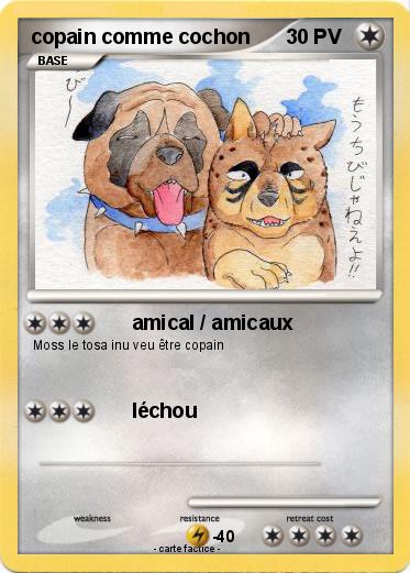 Pokemon copain comme cochon