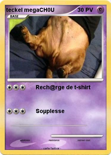 Pokemon teckel megaCH0U