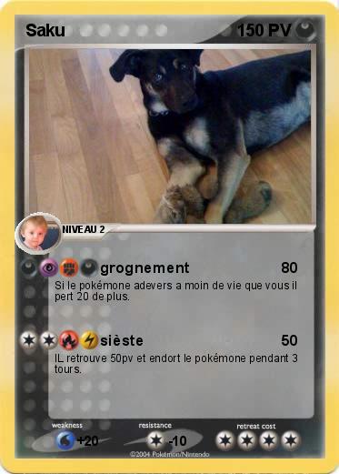 Pokemon Saku