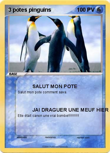 Pokemon 3 potes pinguins