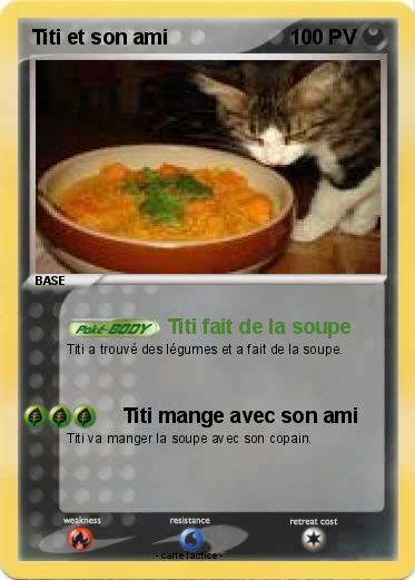 Pokemon Titi et son ami