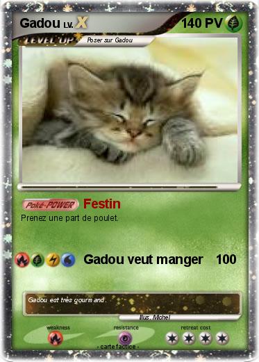 Pokemon Gadou