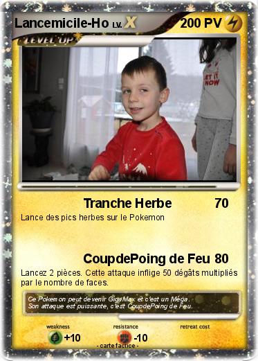 Pokemon Lancemicile-Ho