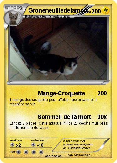 Pokemon Groneneuilledelamort