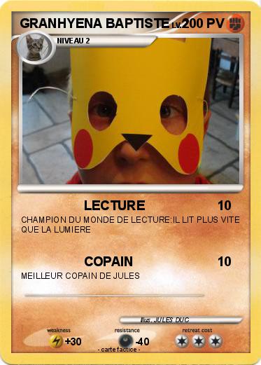 Pokemon GRANHYENA BAPTISTE