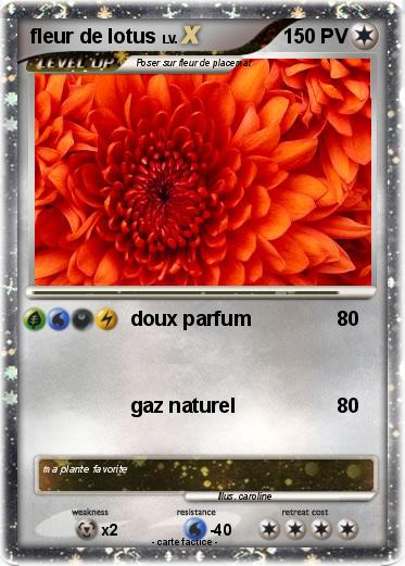 Pokemon fleur de lotus
