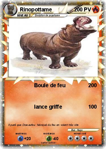 Pokemon Rinopottame
