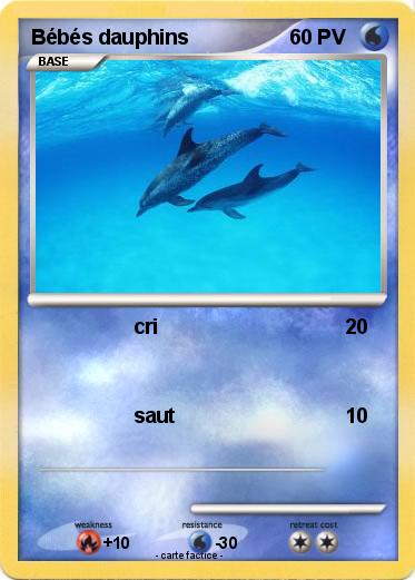 Pokemon Bébés dauphins