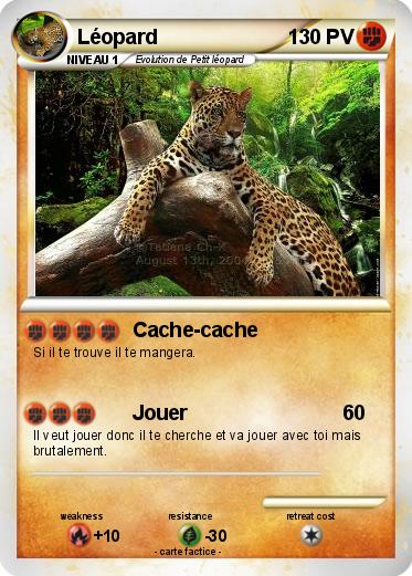 Pokemon Léopard