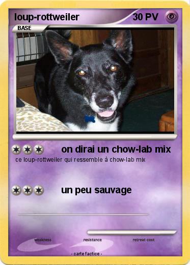 Pokemon loup-rottweiler