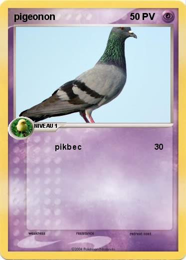 Pokemon pigeonon