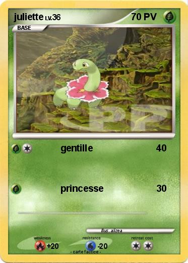 Pokemon juliette