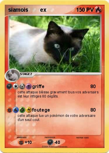 Pokemon siamois        ex                              