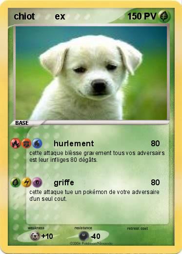 Pokemon chiot        ex            