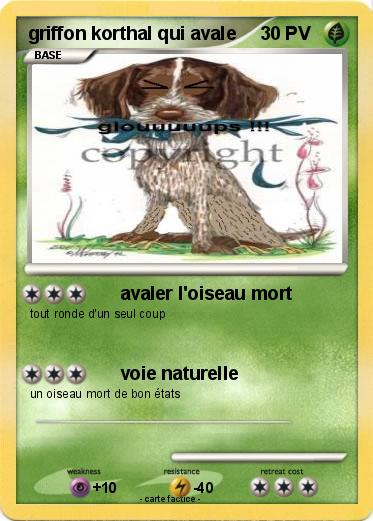 Pokemon griffon korthal qui avale