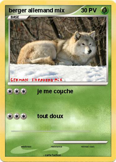 Pokemon berger allemand mix