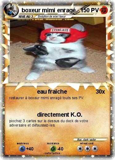 Pokemon boxeur mimi enragé