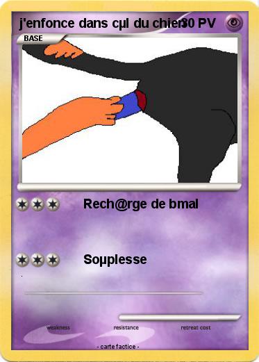 Pokemon j'enfonce dans cµl du chien
