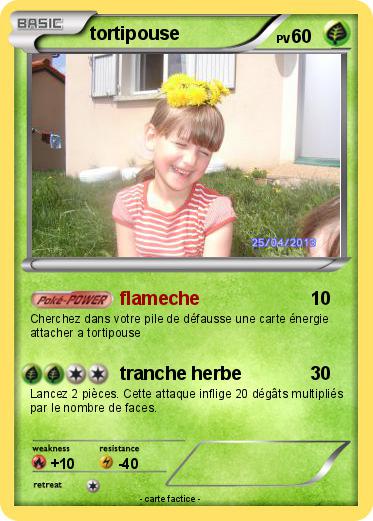 Pokemon tortipouse