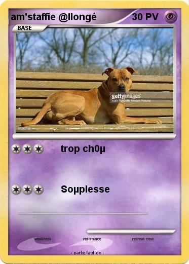 Pokemon am'staffie @llongé