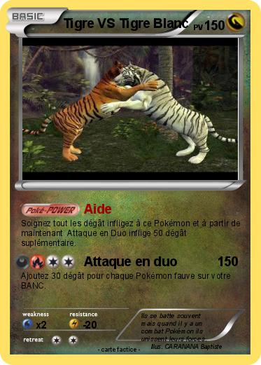 Pokemon Tigre VS Tigre Blanc