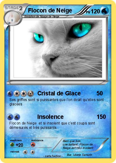 Pokemon Flocon de Neige