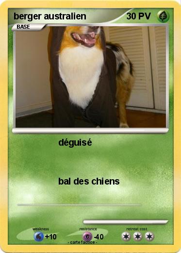 Pokemon berger australien