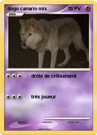 Pokemon dogo canario mix
