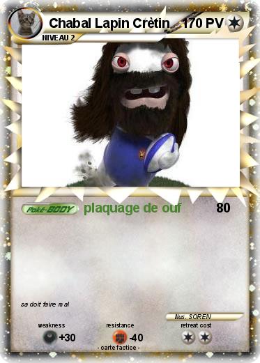 Pokemon Chabal Lapin Crètin