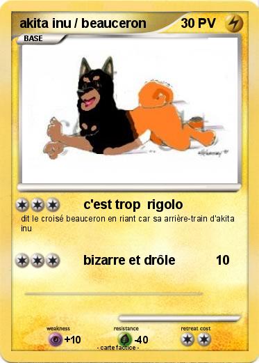 Pokemon akita inu / beauceron