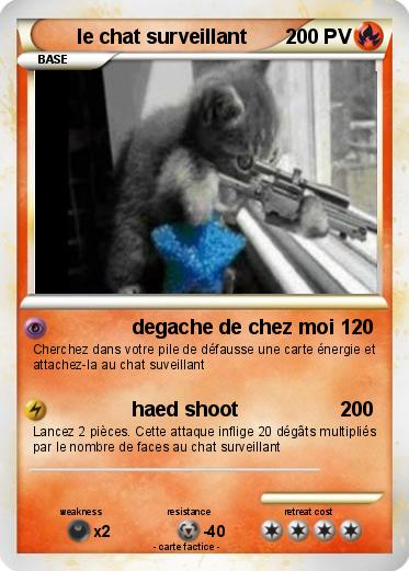 Pokemon le chat surveillant