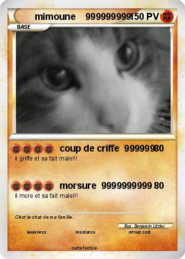 Pokemon mimoune    999999999