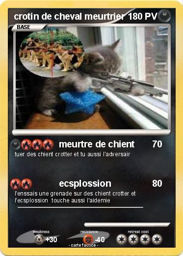 Pokemon crotin de cheval meurtrier