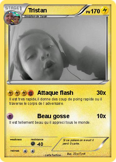 Pokemon Tristan