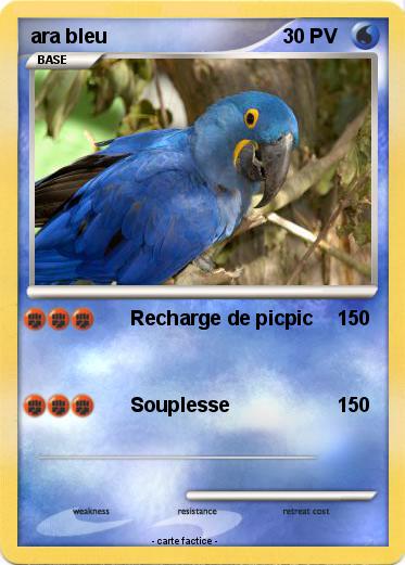 Pokemon ara bleu