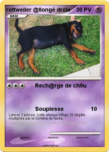 Pokemon rottweiler @llongé drôle