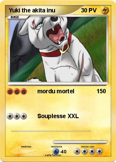 Pokemon Yuki the akita inu