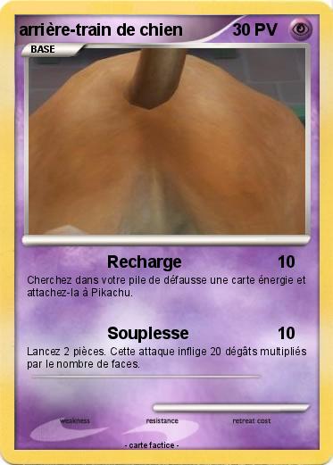 Pokemon arrière-train de chien