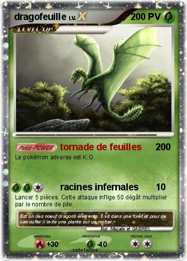 Pokemon dragofeuille