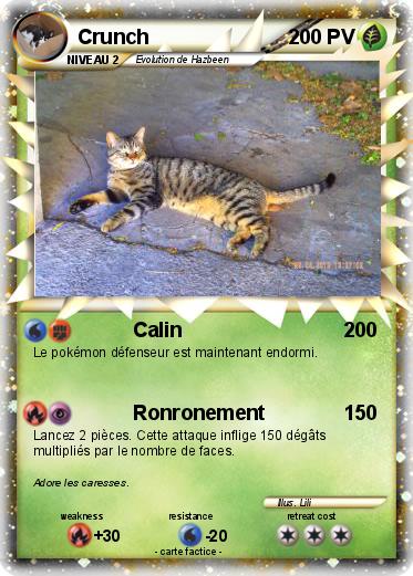 Pokemon Crunch