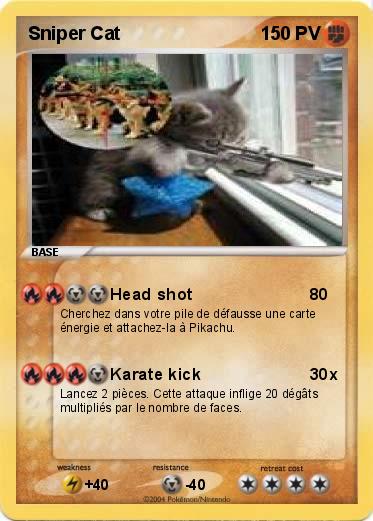 Pokemon Sniper Cat